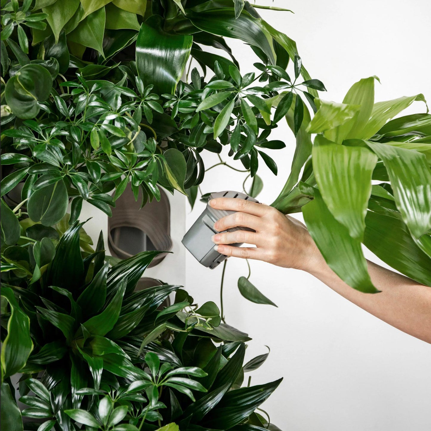 Biome Taiga Smart Living Wall