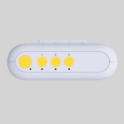 Smart Lighting Controller