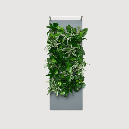 Biome Taiga Smart Living Wall