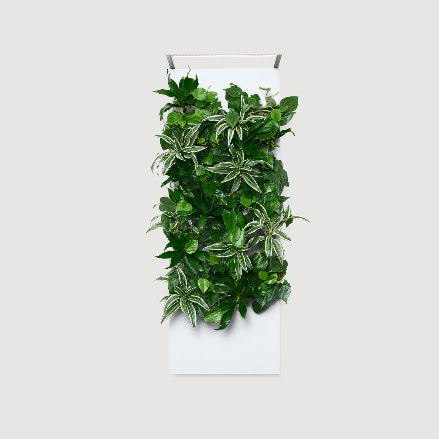 Biome Taiga Smart Living Wall