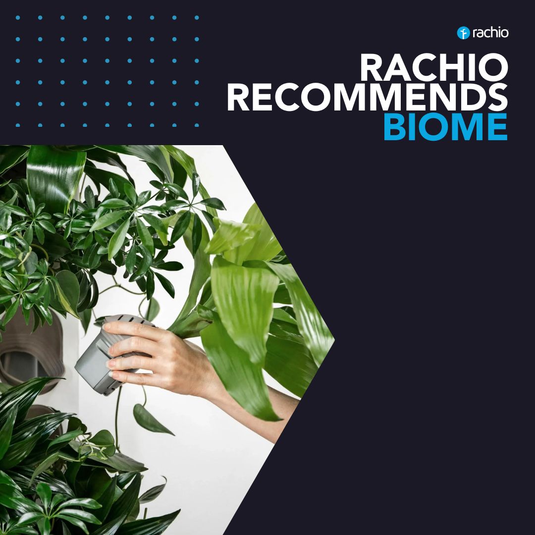 Rachio recommends Biome Taiga Plant wall video