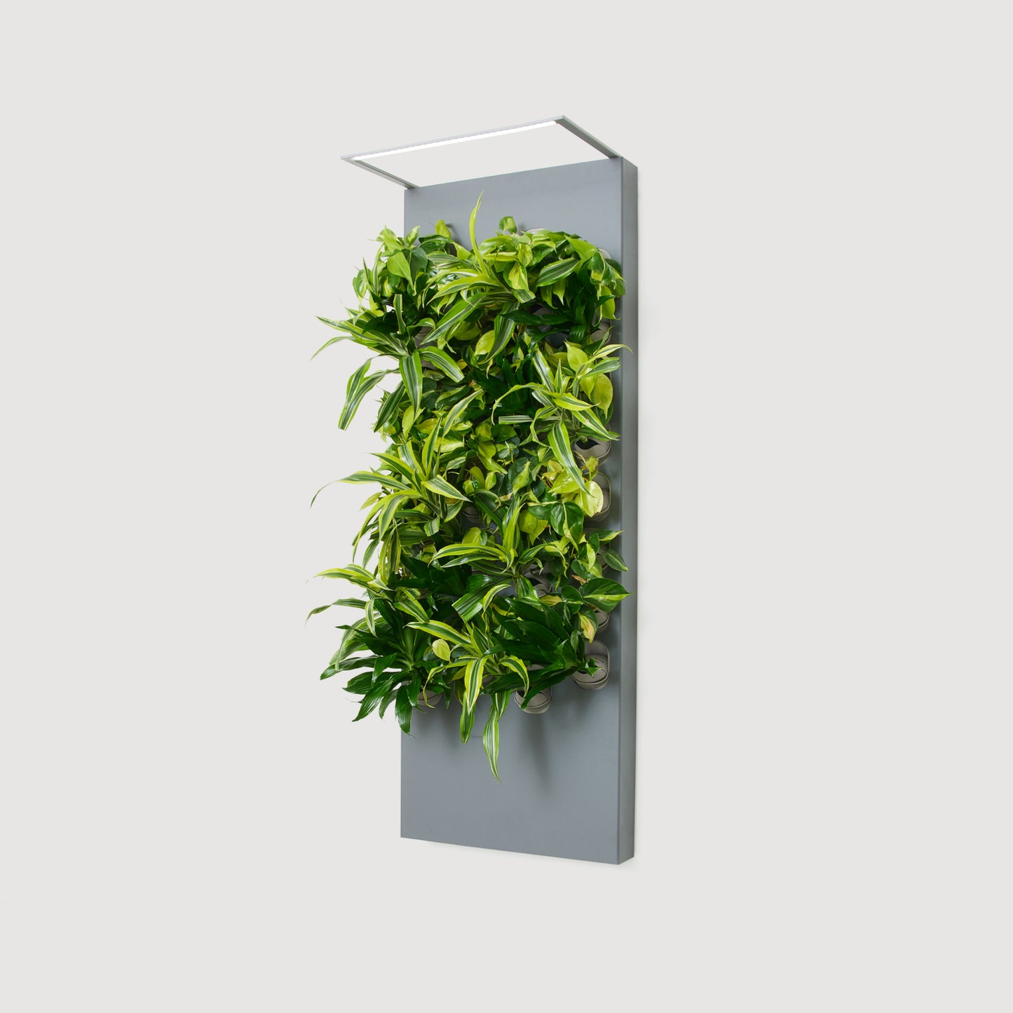 Biome Taiga Smart Living Wall