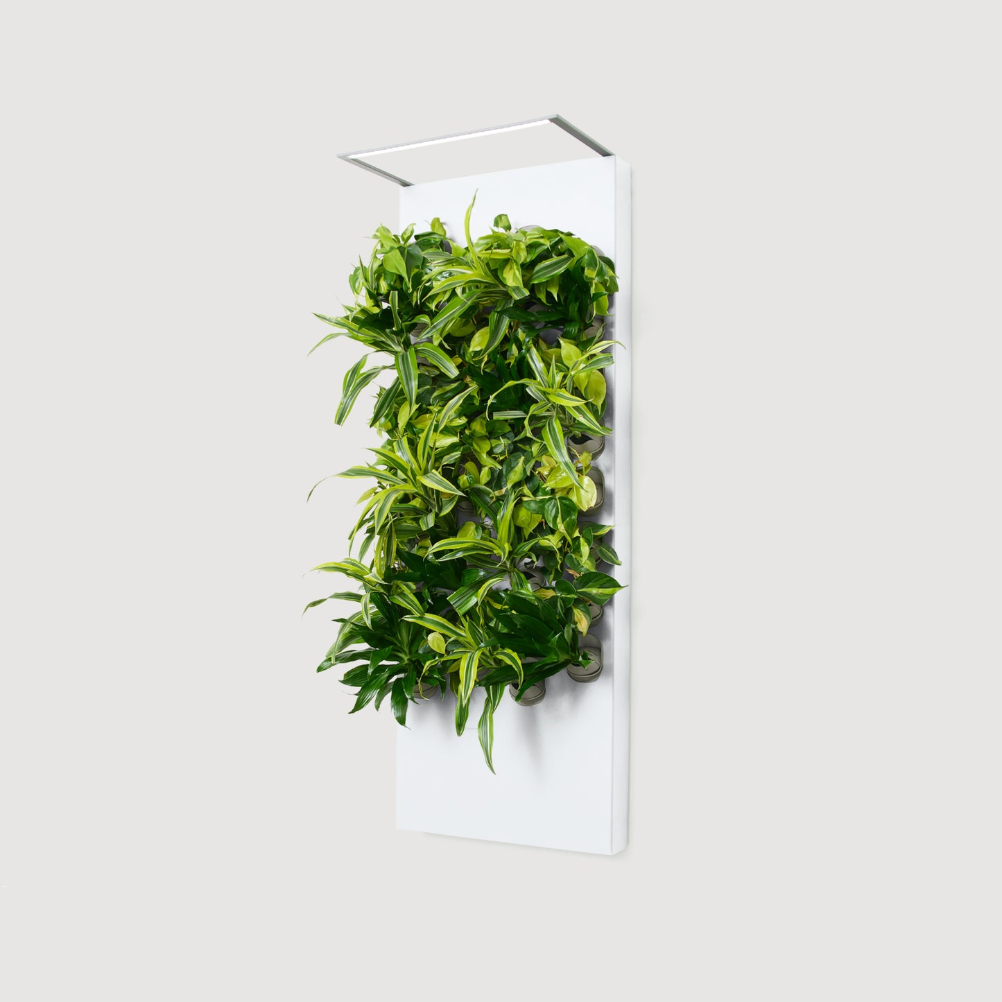 Biome Taiga Smart Living Wall