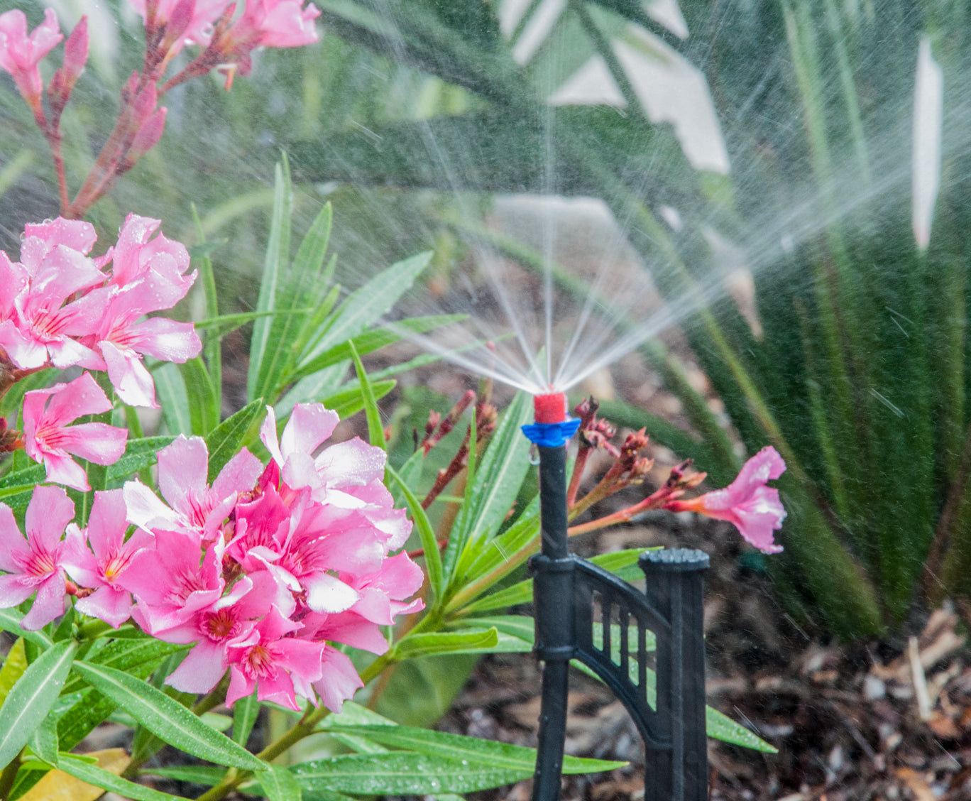 DIG Drip & Micro Sprinkler Kit