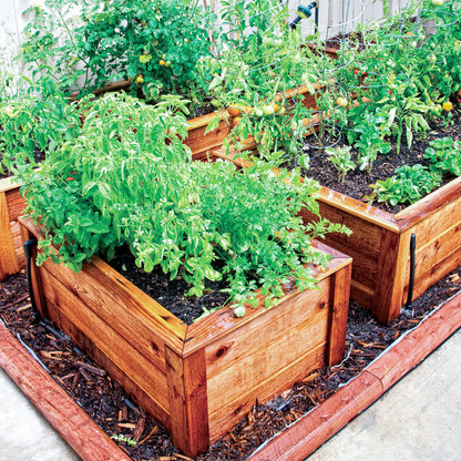 DIG Raised Bed Drip Kit